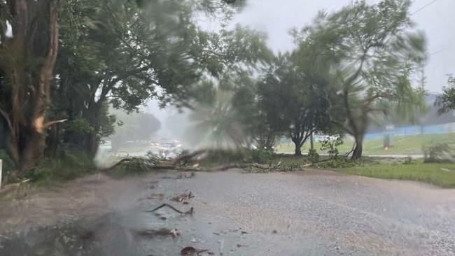 Trees down at Palmwoods on the Sunshine Coast after a severe storm hit on Thursday afternoon. Picture: Phil / Higgins Storm Chasing