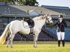 $12m windfall: Why city can’t let ‘world-class’ Olympic equestrian venue slip