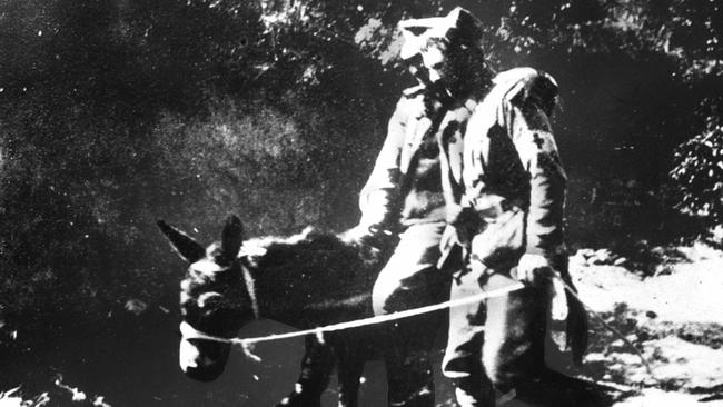 PIRATE: 1915 : John Simpson, his famed donkey and a wounded soldier at Gallipoli during World War One (WWI) in 1915. Pic Australian War Memorial A3114. Australian Armed Forces / Army / Animal Historical Picture: Memorial Australian War