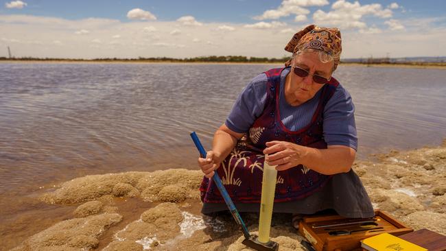 St Kilda resident and scientist Peri Coleman. Picture: Alex Mausolf