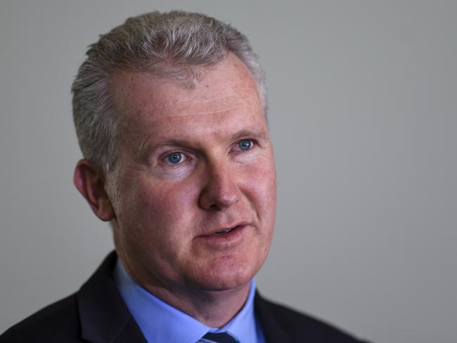 Tony Burke reportedly lobbied Mr Dutton for a visa for a hate preacher. Picture: AAP/Lukas Coch