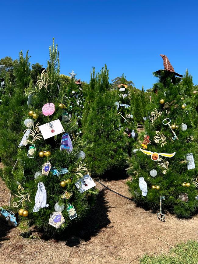 The trees are decked out in Harry Potter decorations. Picture: Tileah Dobson