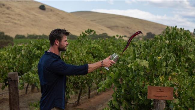 Chris Hemsworth on Instagram: “In Barossa valley “blessing the vineyard” here’s to a great 2018 vintage! @jacobscreekwine @australia #doublebarrel #jacobscreek #barossa #wine #seeaustralia @cristianprieto.filmmaker - Paid partnership with jacobscreekwine”