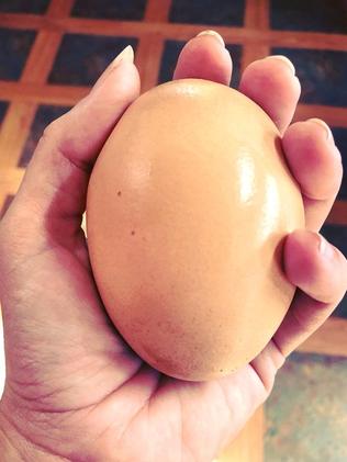 A huge egg is the size of an adult’s hand. Picture: Stockman’s Eggs.