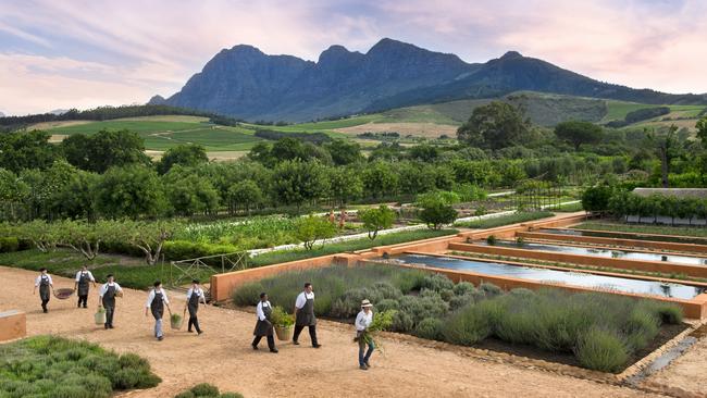 In the kitchen garden at Babylonstoren, Cape Town, South Africa.