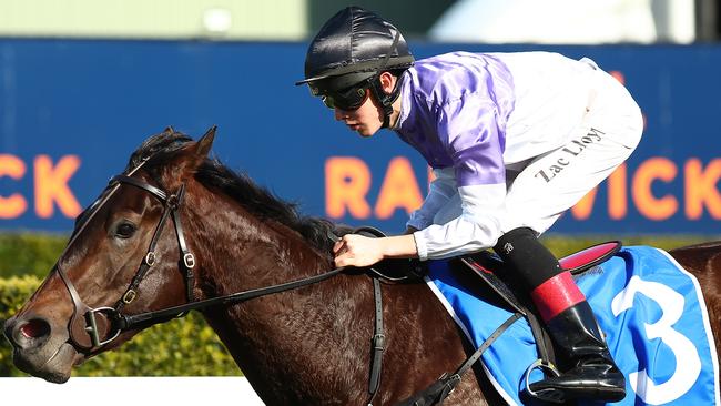 Tiz Invincible is a $23 chance in the All Aged Stakes. Picture: Jeremy Ng/Getty Images