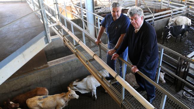 Terry Nolan and Ron Boswell at Nolan's Gympie abattoir.