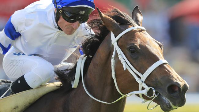 Kolding shot to stardom in the spring with big wins in the Epsom Handicap and Golden Eagle. Picture: Getty Images