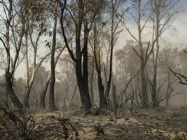 The Tasmania Fire Service conducted a controlled backburn in Miena to reduce excess risk on Friday because of extreme weather conditions. Picture: HEATH HOLDEN