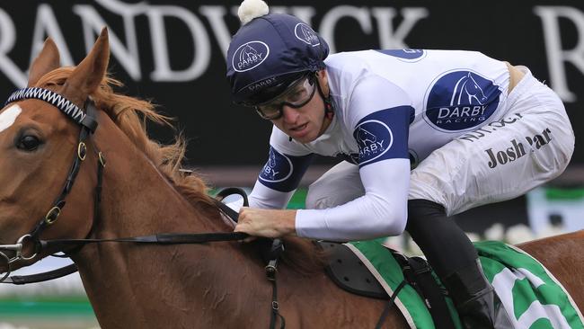 Josh Parr rides Daytona for Michael Freedman on Wednesday. Picture: Getty Images