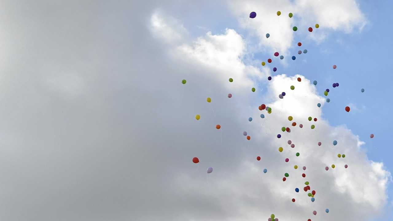 LETTER: Balloon Ban Will Save Sea Creatures | The Chronicle