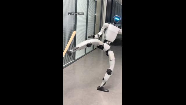 Chinese Kung Fu robot shows impressive martial arts skills