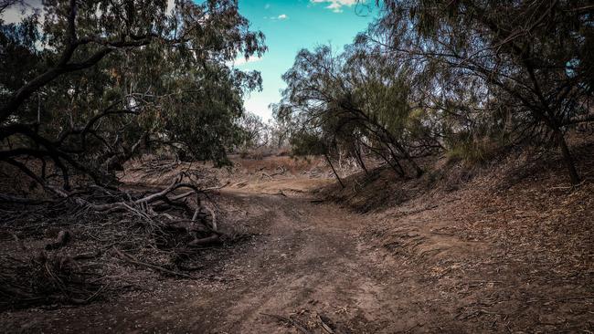 The Bureau of Meteorology has declared the ongoing drought across the Murray Darling Basin to be the worst on record. Picture: David Gray