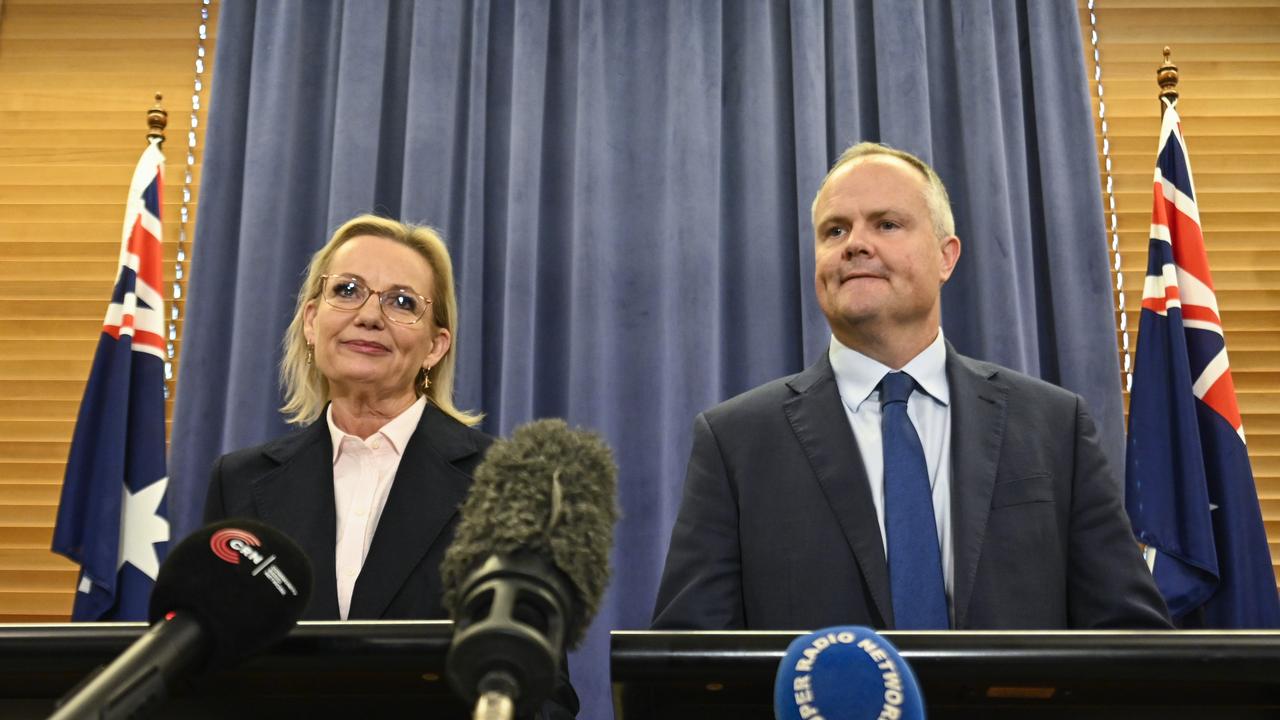Sussan Ley and Ted O'Brien were elected the new leader and deputy leader of the Liberal Party on Tuesday. Picture: NewsWire / Martin Ollman