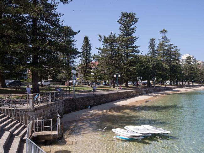 Manly Cove in Manly. Picture: Julian Andrews