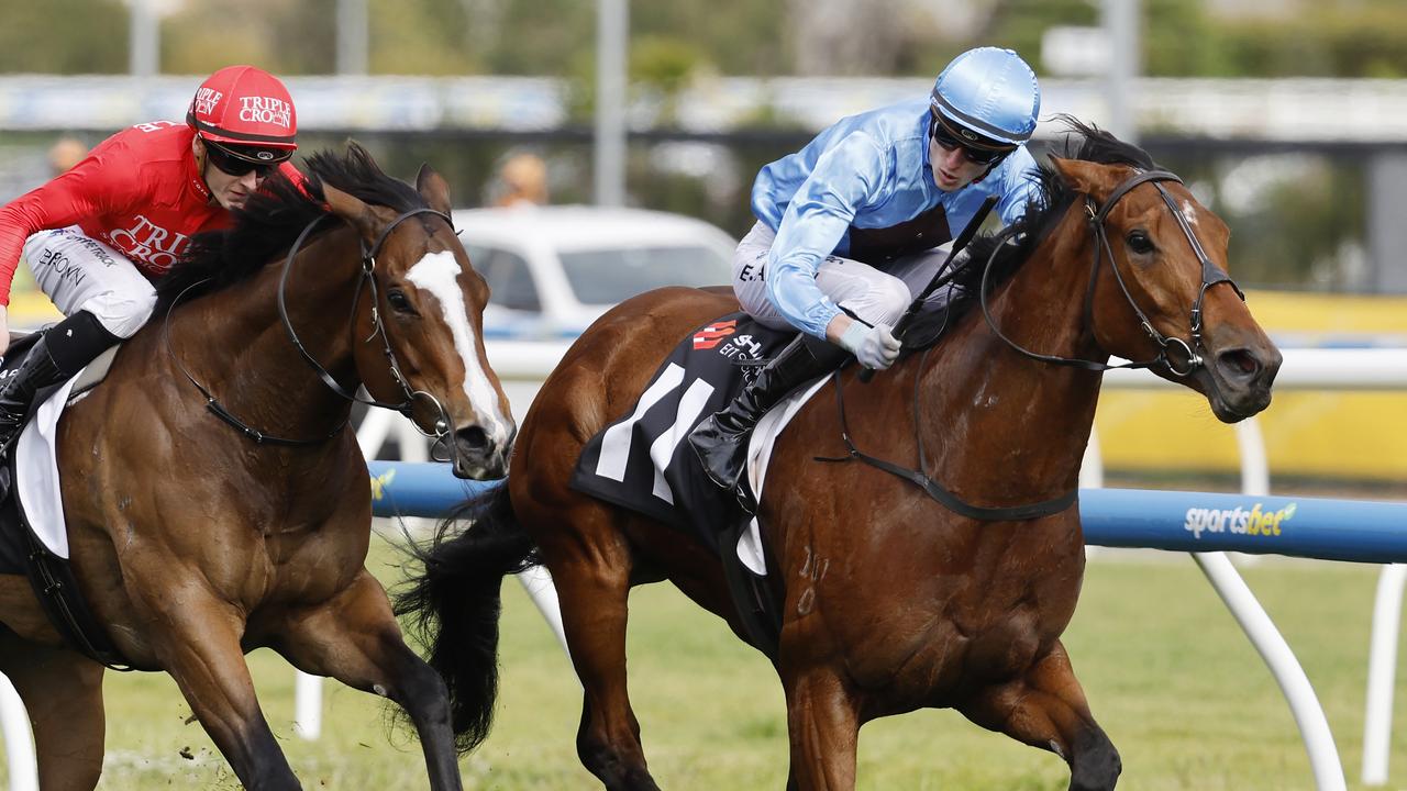 Lady In Pink (blue) will runs in Saturday’s The Coast at Gosford. Picture: Michael Klein