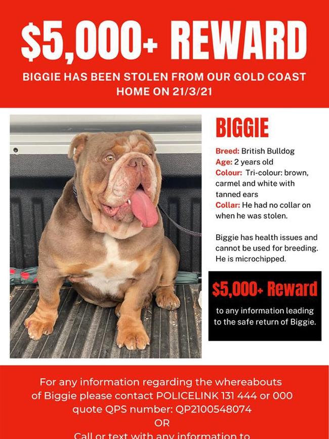 A $5000 cash reward was on offer for anyone with information. Pic: Bring Biggie Home