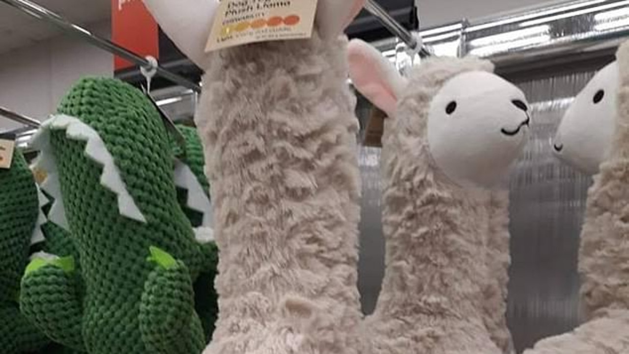 Kmart: Llama dog toy mocked on Facebook for X-rated design | Photo |   — Australia's leading news site