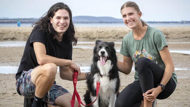 Tassie's cutest dog winner