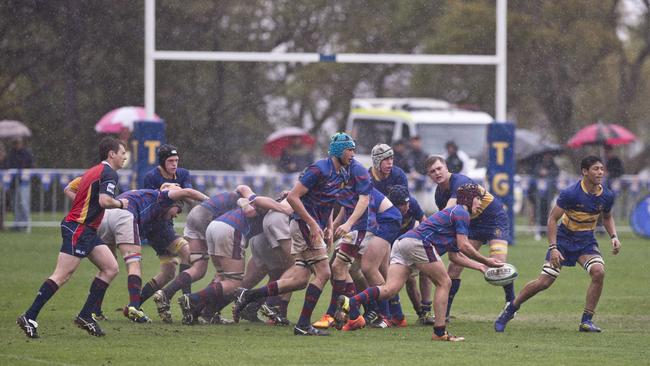 O'Callaghan Cup at Toowoomba Grammar. Saturday, Aug 29, 2015. Photo Nev Madsen / The Chronicle