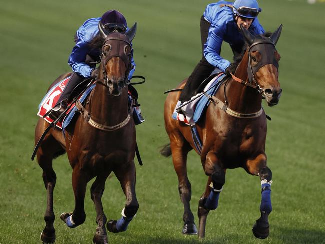 NCA. MELBOURNE, AUSTRALIA. October 21, 2024. RACING.  Mooney Valley Breakfast with the Best track gallops.  Broadsiding ridden by Jamie Kay (black cap) works with Adinath during this mornings track work session at Mooney Valley   .  Pic : Michael Klein