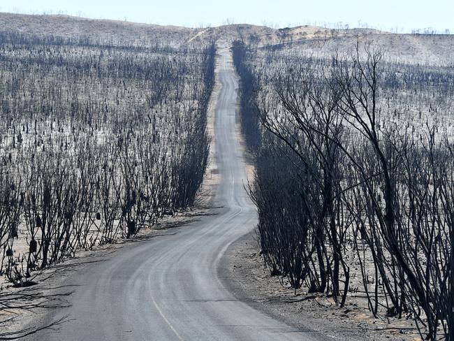 Damage done to the Flinders Chase National Park after bushfires swept through on Kangaroo Island, southwest of Adelaide. Picture: AAP