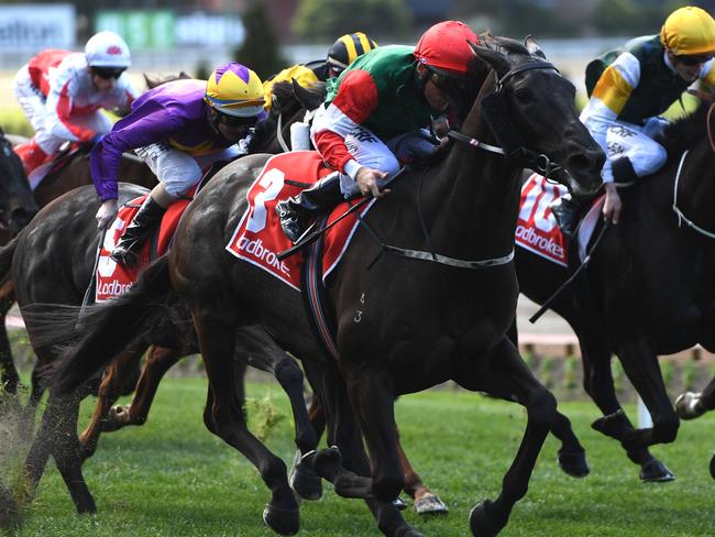 Samovare looks well placed to bounce back from her last-start Caulfield defeat. Picture: AAP