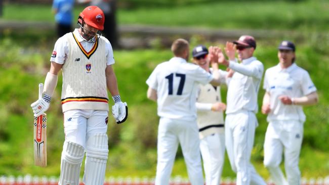 Fergus O’Neill celebrates his first wicket of Travis Head with teammates. (Photo by Mark Brake/Getty Images)