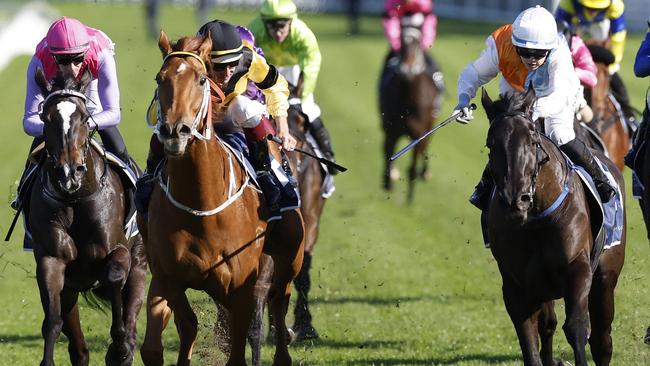 Monfelicity (white cap) can make it back-to-back Midway Handicap wins. Picture: Getty Images
