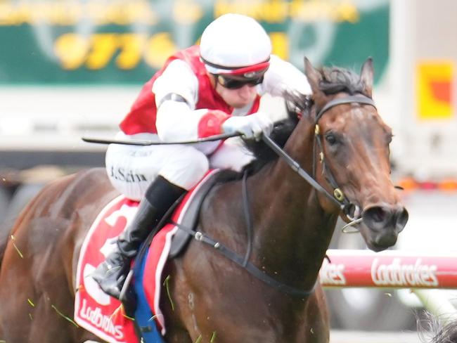 Refusetobeenglish (NZ) ridden by Ben Melham wins the Frankston Sand Soil & Mini Mix Handicap at Cranbourne Racecourse on November 23, 2024 in Cranbourne, Australia. (Photo by Scott Barbour/Racing Photos via Getty Images)