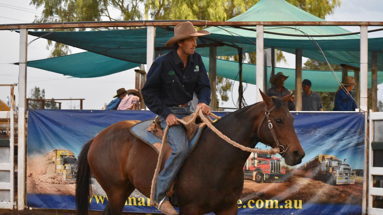 Friday night campdraft