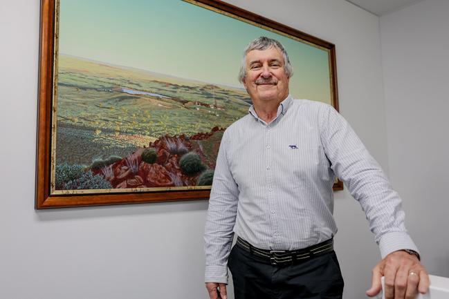 Artemis' new MD Julian Hanna sees untapped potential in its Pilbara gold prospects. Pic: Artemis