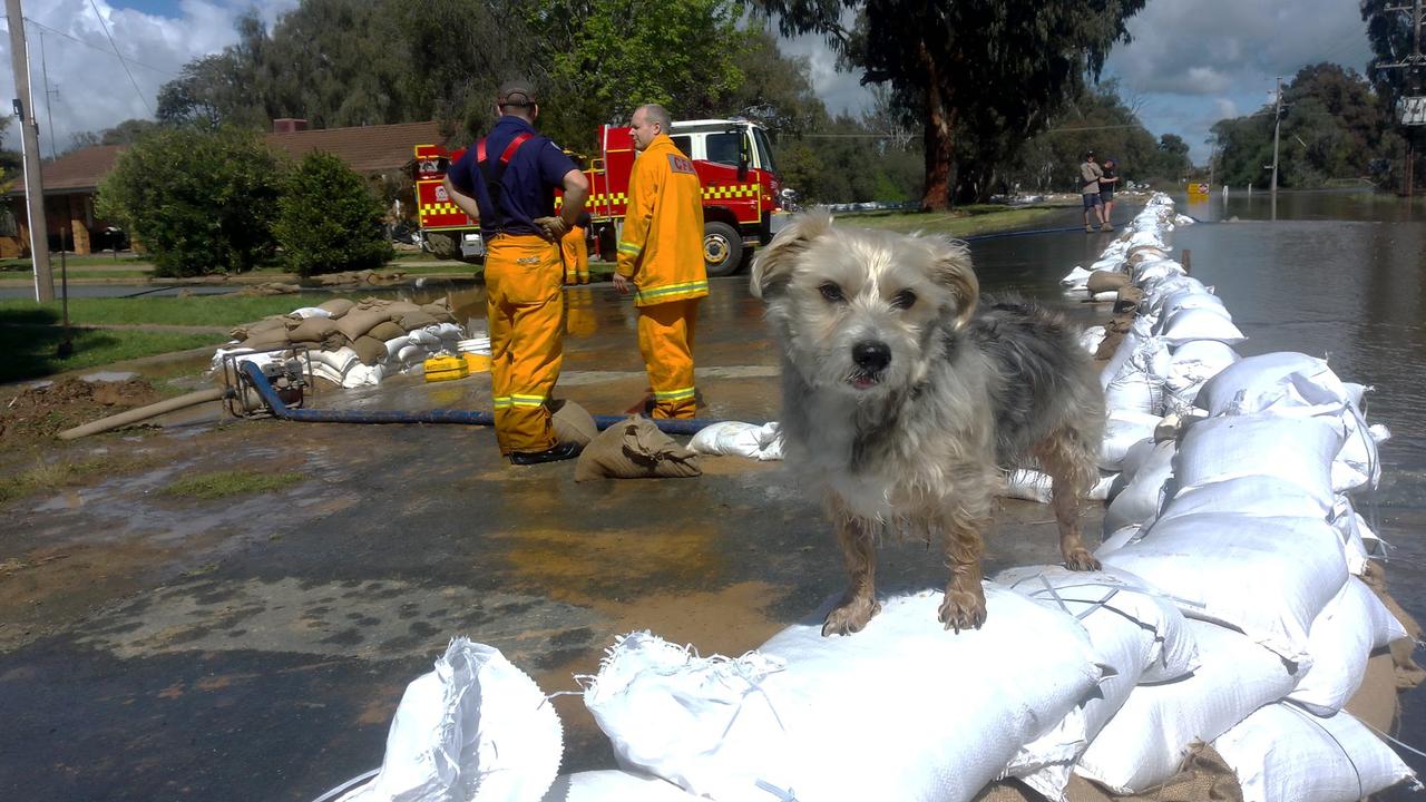 Instead of people, the Echuca streets are lined with sandbags. Picture: Facebook