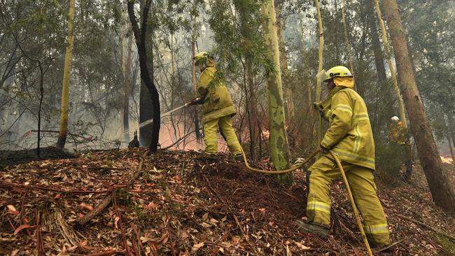 Firefighters tackle a bushfire south of Nowra on January 5. Picture: Peter Parks/AFP