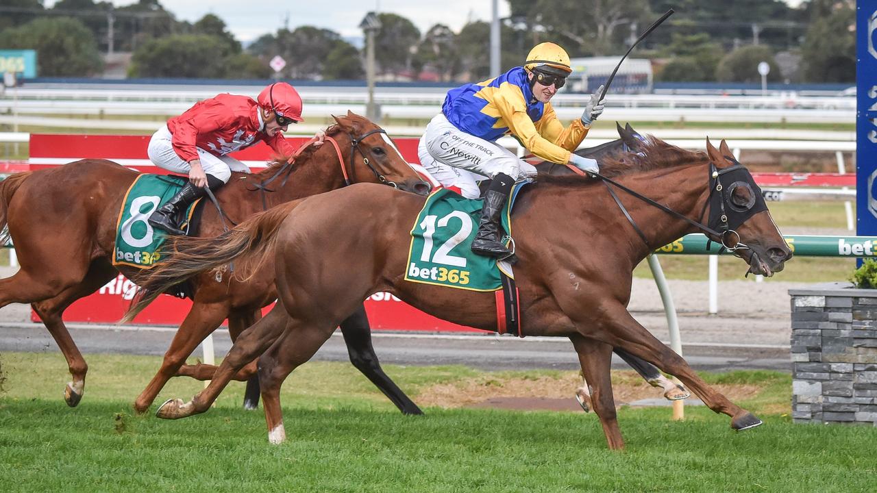 Curran to tackle Group 3 Standish Handicap at Flemington