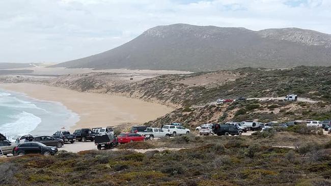 Capers at Coles Point on the Eyre Peninsula. Picture: Murray Kelsh