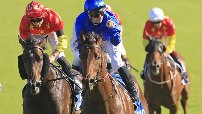 Anamoe gave McDonald his only ATC Sires’ Produce Stakes win last year. Picture: Mark Evans/Getty Images