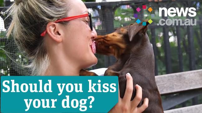 why should you not kiss your dog