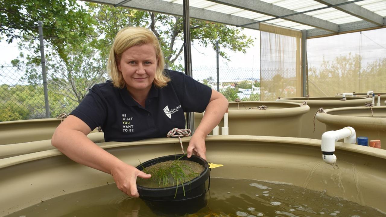 CQ University's Coastal Marine Ecosystems Research Centre at Gladstone director Dr Emma Jackson has been involved in a project researching how to restore seagrass beds on the Great Barrier Reef.