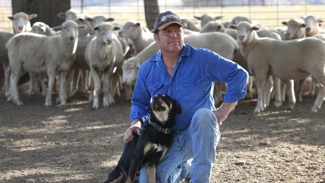 Chris Wilson with helping hand Rex on his farm near Junee. Chris battled depression and now advocates to help farmers fight mental illness.