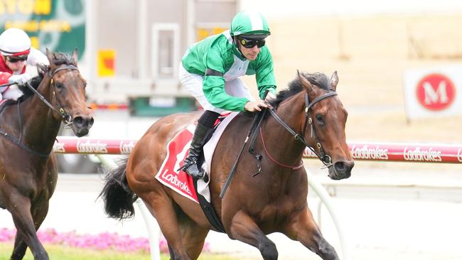 Refusetobeenglish had little trouble posting a decisive debut win at Cranbourne. Picture: Picture: Racing Photos via Getty Images.