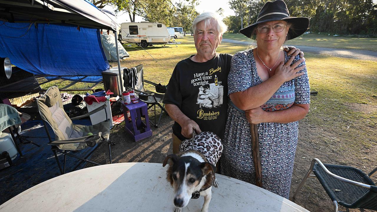 Public backlash mounts over council’s controversial homeless dog ban