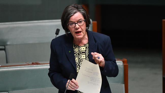 Independent MP Cathy McGowan says she has not “even thought about” whether to support any referral motion for Peter Dutton. Picture: AAP