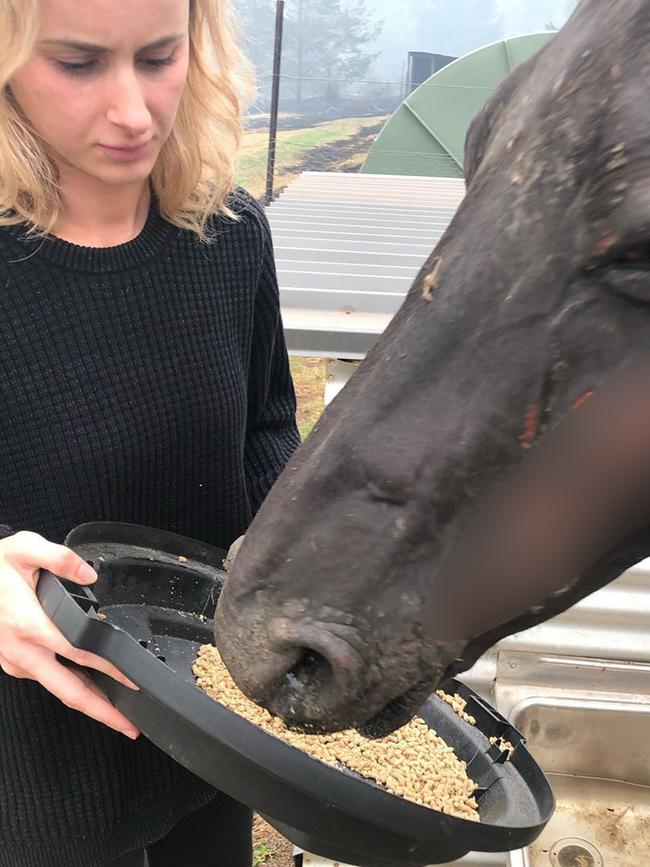 Crapp and his girlfriend Lucy Cartwright (pictured) have taken in animals which suffered burns and were found near their damaged property. Photo: Instagram