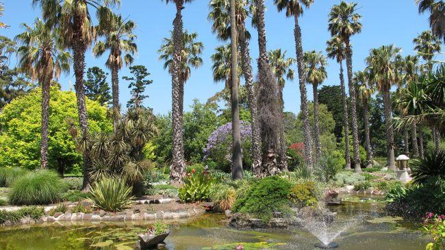 12/20Williamstown Botanical GardensNestled on the foreshore of this historic Melbourne suburb, these pint sized botanical gardens (opened in 1860) are an idyllic spot for a Saturday afternoon picnic or a stroll.