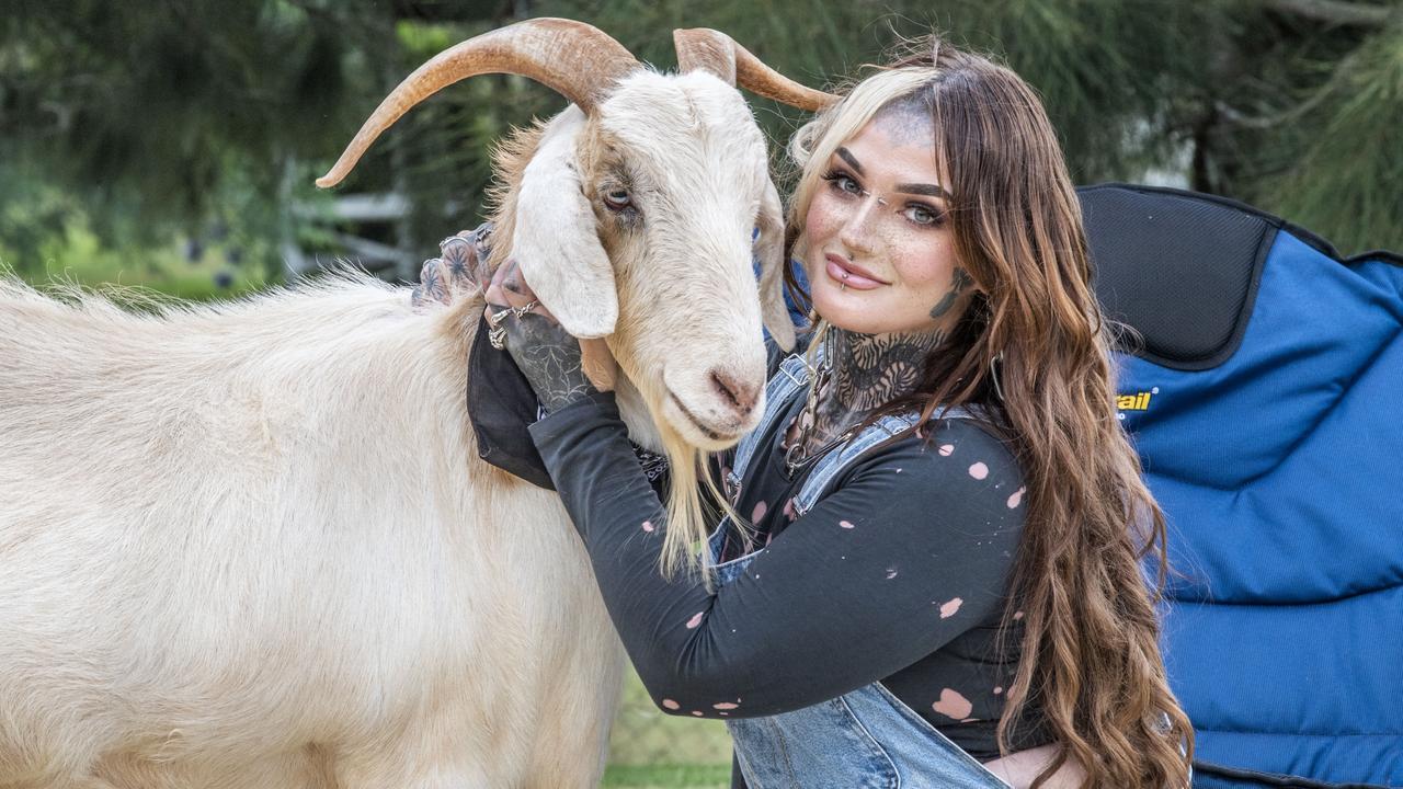 Gary the goat is on the search for a girlfriend with the help of his mum Victoria Campbell. Picture: Nev Madsen