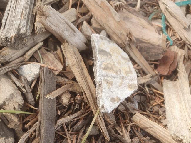 Suspected building materials located in the tree bark at Spotswood's Donald McLean Reserve park, opened in April 2023 by Hobsons Bay City Council and the West Gate Tunnel Project, has forced its temporary closure amid community safety concerns. Picture: Nilsson Jones