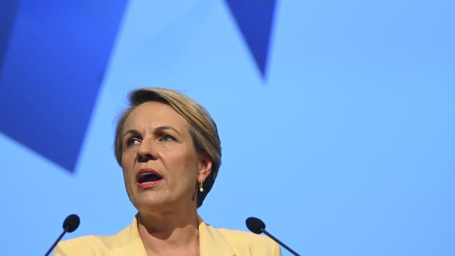 Shadow Minister for Education and Training Tanya Plibersek. Picture: AAP.