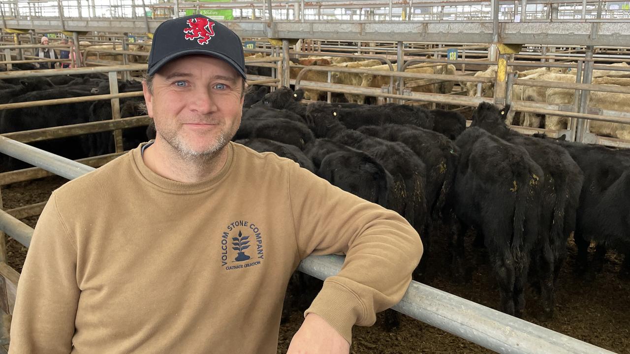 Cattle prices: Leongatha cattle sale dominated by northern buyers | The ...