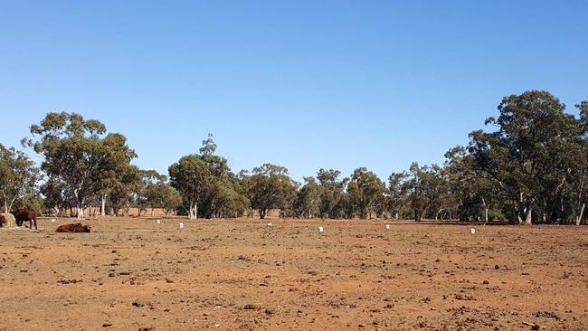 She wants to connect Sydney with regional areas of NSW as there are “many opportunities”.